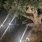 All'ombra Della Pineta Séjour à la campagne