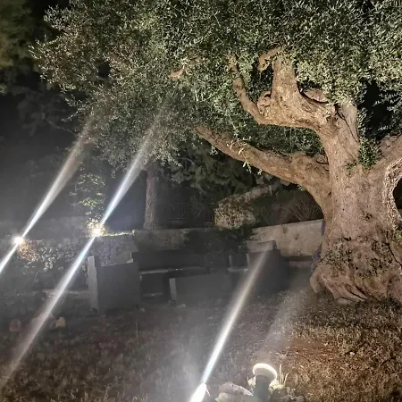 All'ombra Della Pineta منزل ريفي
