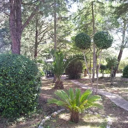 All'ombra Della Pineta *