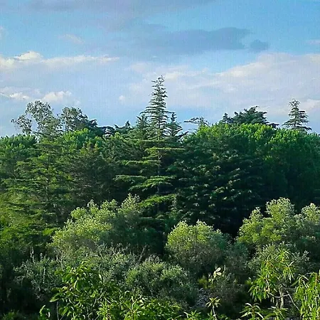 All'ombra Della Pineta منزل ريفي